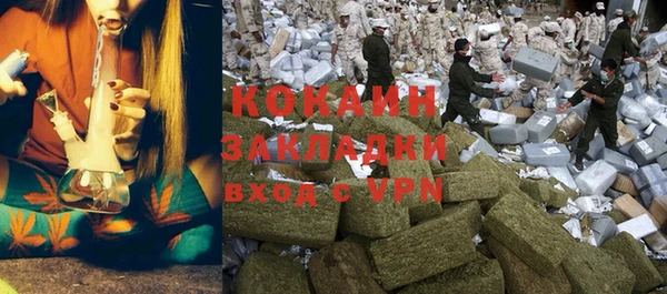 индика Алзамай