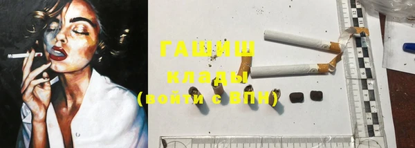 индика Алзамай