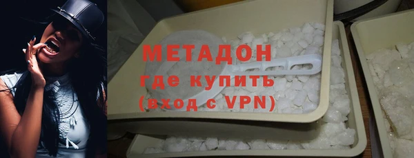 индика Алзамай