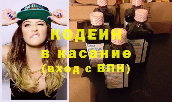 индика Алзамай