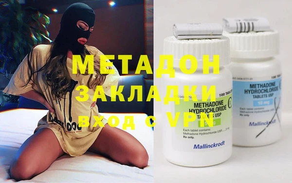 индика Алзамай