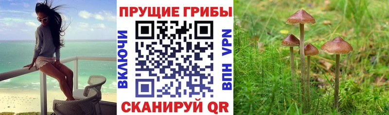 shop клад  Алексеевка  Галлюциногенные грибы MAGIC MUSHROOMS 