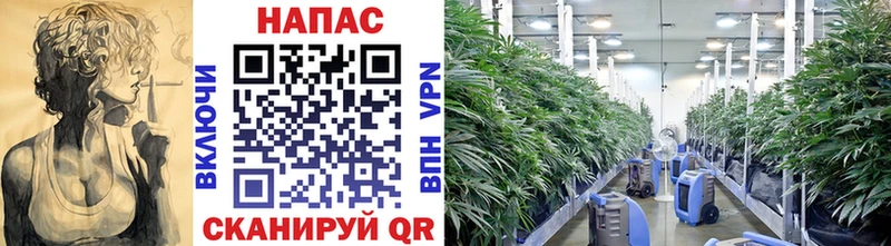 купить наркотики сайты  Алексеевка  MEGA как войти  МАРИХУАНА гибрид 